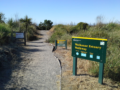 Waikanae Estuary Walkway