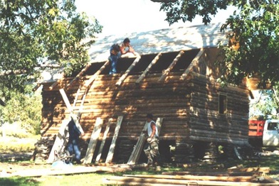 Building the cabin (3)