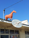 Horse on the Roof