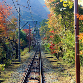 autumn colours by Pranav S - Transportation Railway Tracks