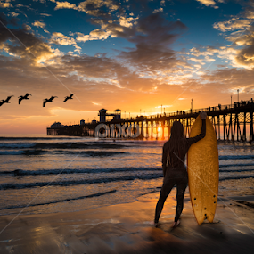 Contemplation by Alan Crosthwaite - Landscapes Beaches
