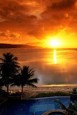 ������ � ����� ������ HD