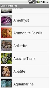 Download Gem Hunter PRO APK for Android