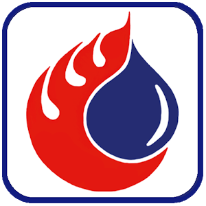FRSTeam Mobile Claims Service 1.1