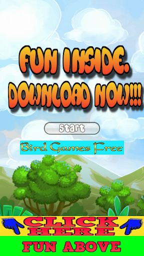 Bird Games Free