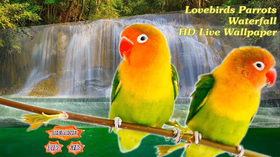 How to install Lovebirds Parrots Waterfall patch 1.4.5 apk for bluestacks