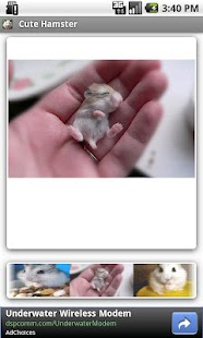How to install Cute Hamster 1.0 apk for bluestacks