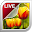Tulip Live Wallpaper Download on Windows