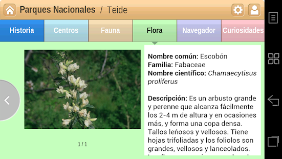 Teide Parque Nacional Screenshots 11