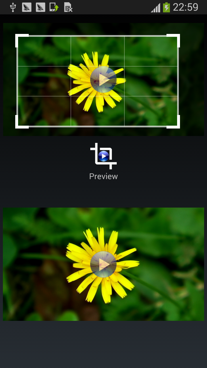 Crop Video Screen 2