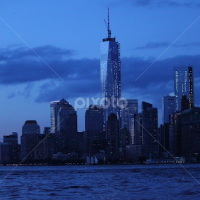 Lower Manhattan Skyline by Troy Phifer III - Buildings & Architecture Public & Historical