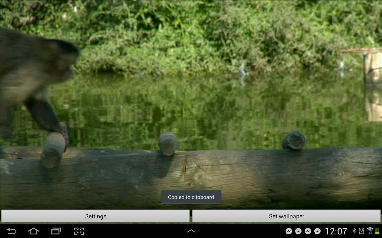 HD Video -  Fundos Animados - screenshot
