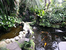 Fish Pond and Waterfall at Hawaii Landscape PTE Ltd