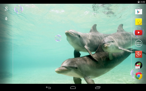 Dolphins Live Wallpaper