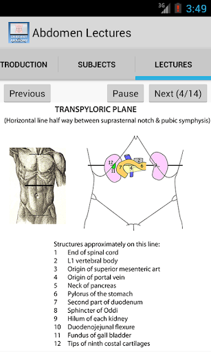 Abdomen Lectures