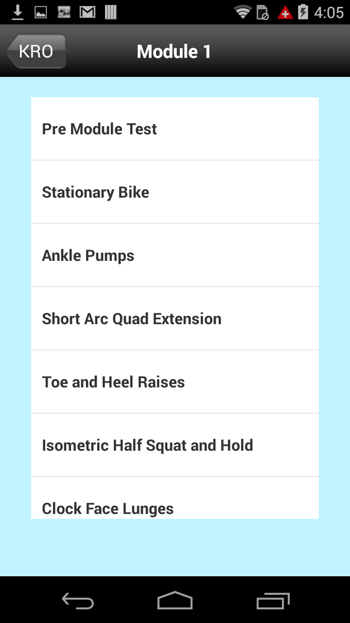 Knee Rehab Online Screen 2