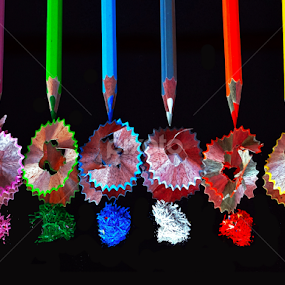 Colour Pencil2 by Asif Bora - Artistic Objects Education Objects