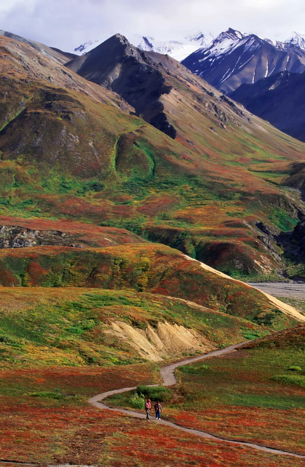 mountain-range-Denali - The Alaska Mountain Range in Denali National Park in Alaska.