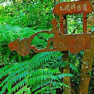 香草菲菲 芳香植物博物館