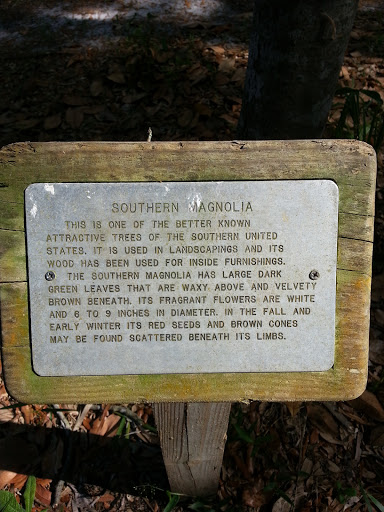 Southern Magnolia Educational Marker
