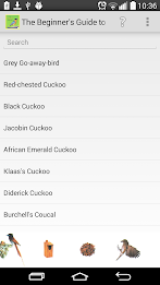 Beginner's Guide to Bird Calls poster 1