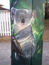 Posing Koala
