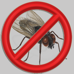 Anti Flies 1.0