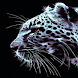 Shadow Leopard Live Wallpaper