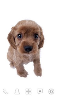 How to install Bobbleheads LW [FL ver.] patch 1.3 apk for bluestacks