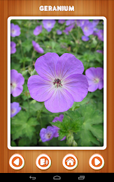 Baby learning Flowers (Card) poster 6