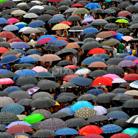 Today it was raining and tomorrow will be, says radio... by Boricic Goran - City,  Street & Park Street Scenes