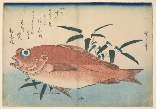 Red rockfish (Akodai) with Bamboograss, with inscription