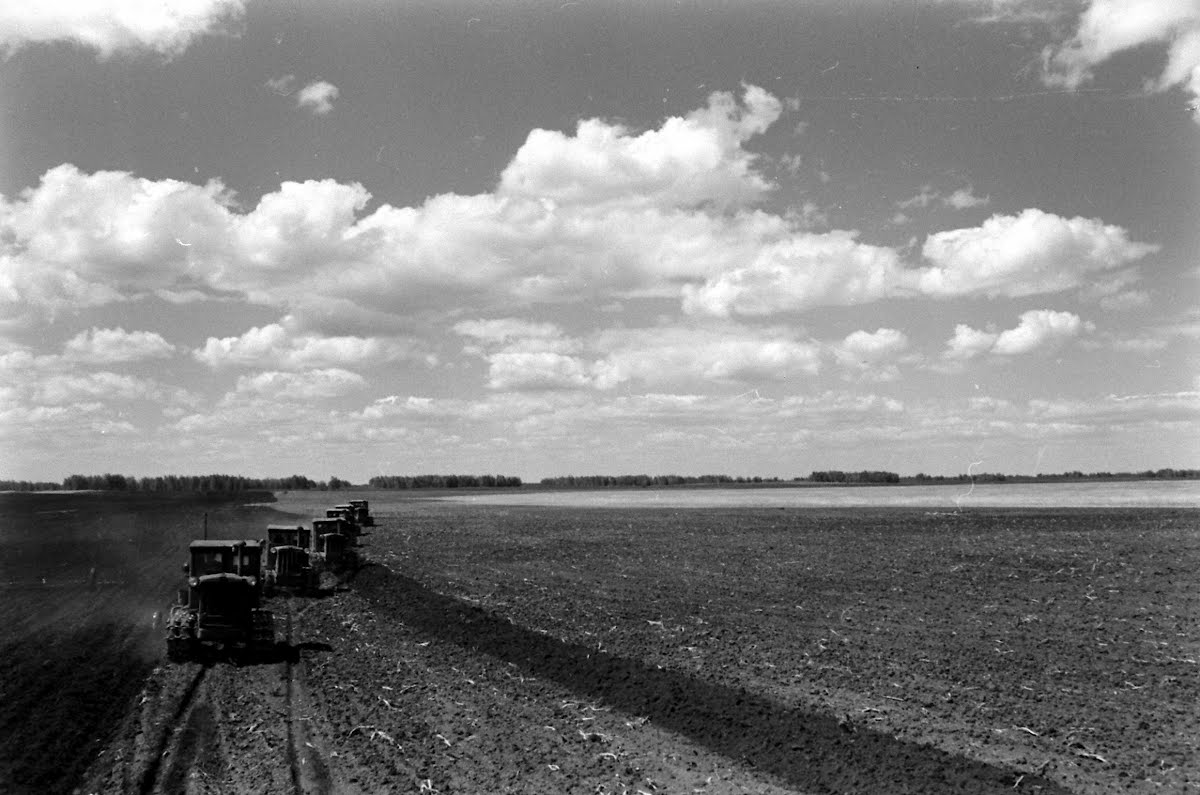 Soviet Union Virgin Lands "Breadbasket" Story Filmed In Area Of