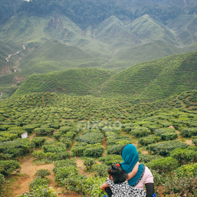 Cameron Highland Tea Plantation by Izwan Azman - Landscapes Mountains & Hills
