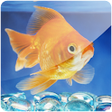 3D Goldfish (PRO)