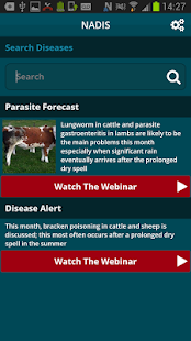  Nadis SQP- የቅጽበታዊ ገጽ እይታ ድንክዬ  