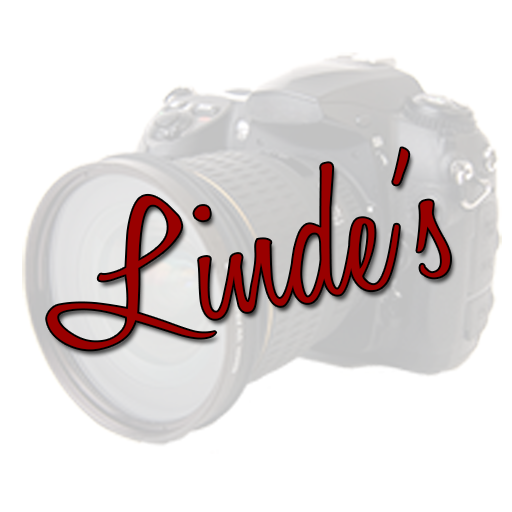 Linde's Livestock Photography LOGO-APP點子