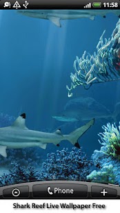 Shark Reef Live Wallpaper Free