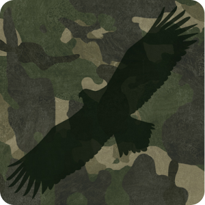 Camouflage Live Wallpaper logo