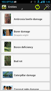 How to get Palm Symptoms Key 1.0.3 mod apk for pc