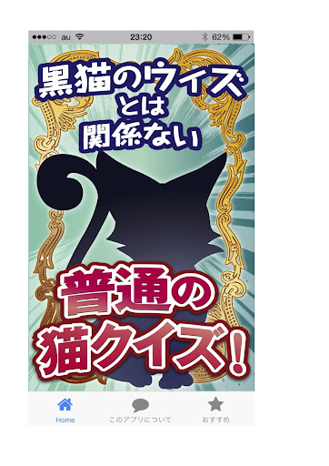 黒猫のウィズとは関係ない普通の猫クイズ