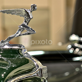 Leading The Way by Jennifer Wheatley-Wolf - Artistic Objects Other Objects