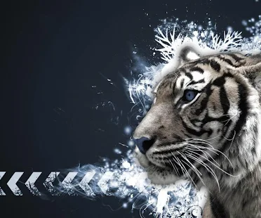 3D Tiger