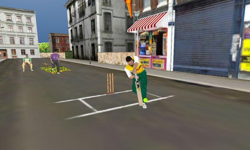 Street Cricket Screen 2