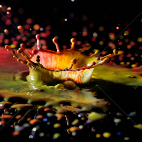 A Crown by Nirmal Kumar - Uncategorized All Uncategorized