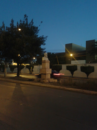 Busto De Avenida Los Próceres