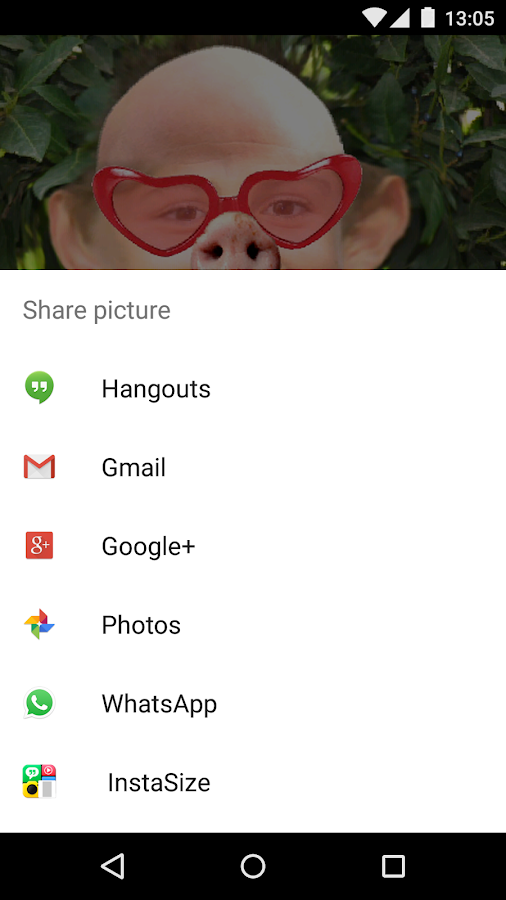    Face Changer- screenshot  