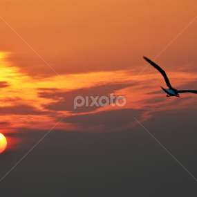 Return to Home by Emon  Jaman - Landscapes Sunsets & Sunrises