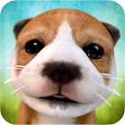 犬 Dog Simulator 2.2.3