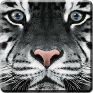 White Tiger Live Wallpaper